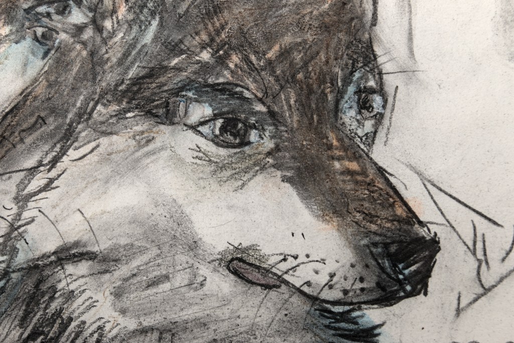 Dog, Tauno Erik, 2023