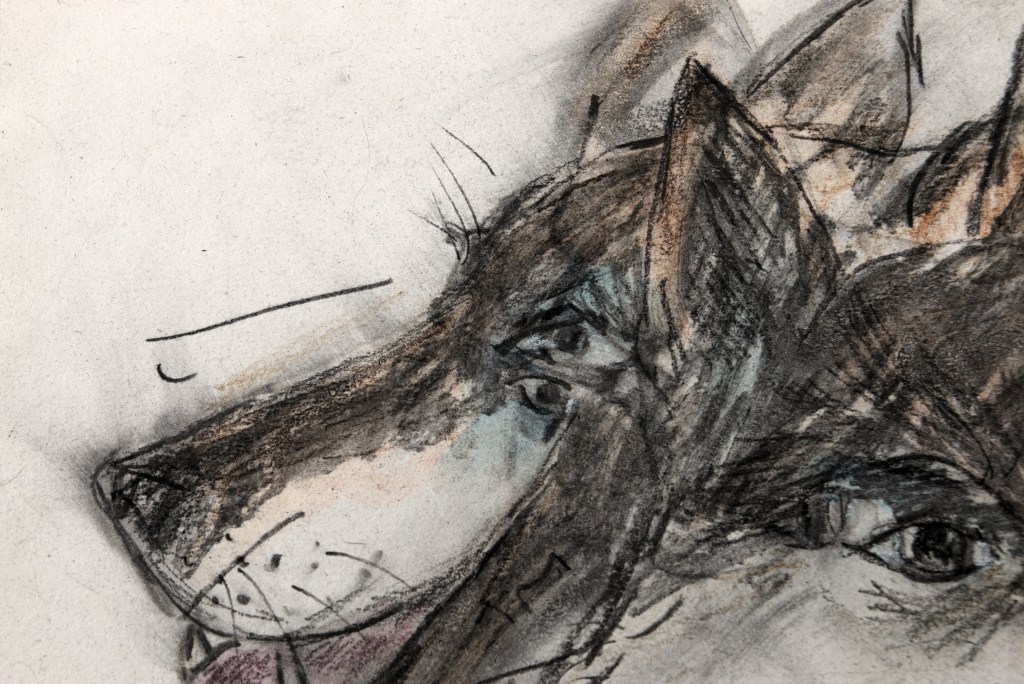 Dog, Tauno Erik, 2023