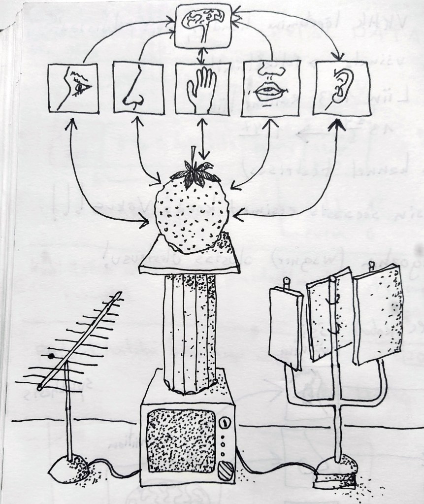 Five senses, Tauno Erik